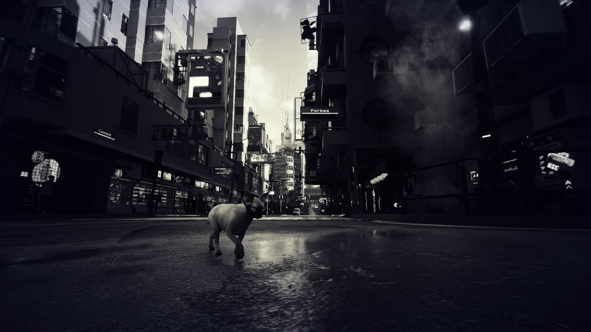 サイバーパンク2077』のホームへようこそ。ゲームやアニメ、その他メディアなど――サイバーパンクのすべてがここに, image size:1920x1079