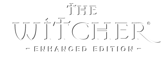 The witcher: enhanced edition director